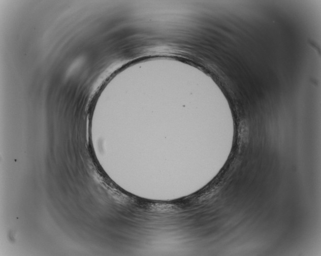 X0000103491323200810241052