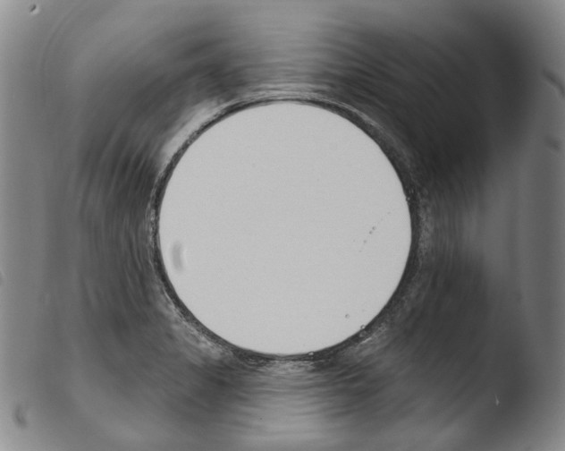 X0000103491325200810241052