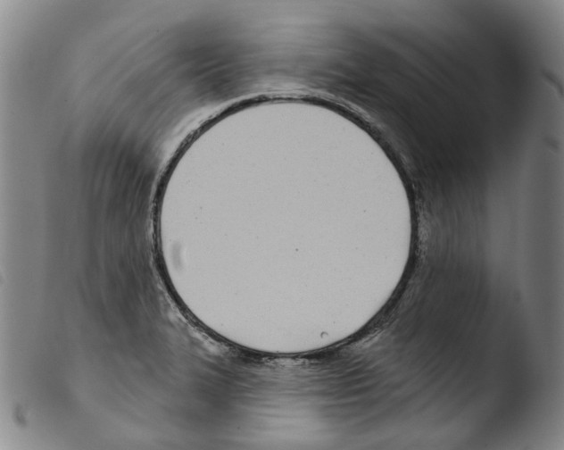 X0000103491327200810241052