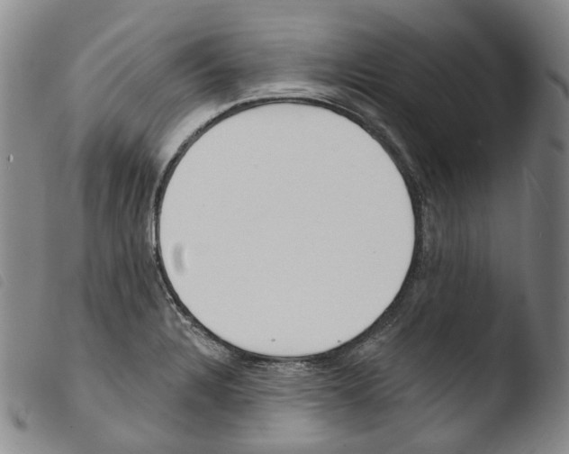 X0000103491328200810241052