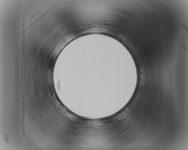 X0000103491329200810241052