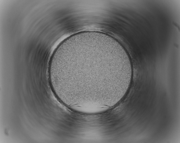 X0000103491331200810241052