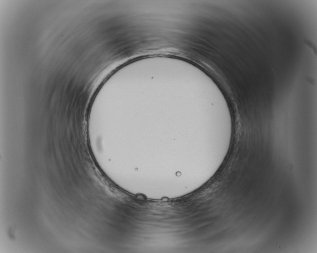 X0000103491332200810241052