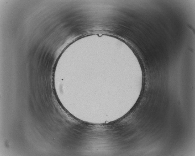 X0000103491333200810241052
