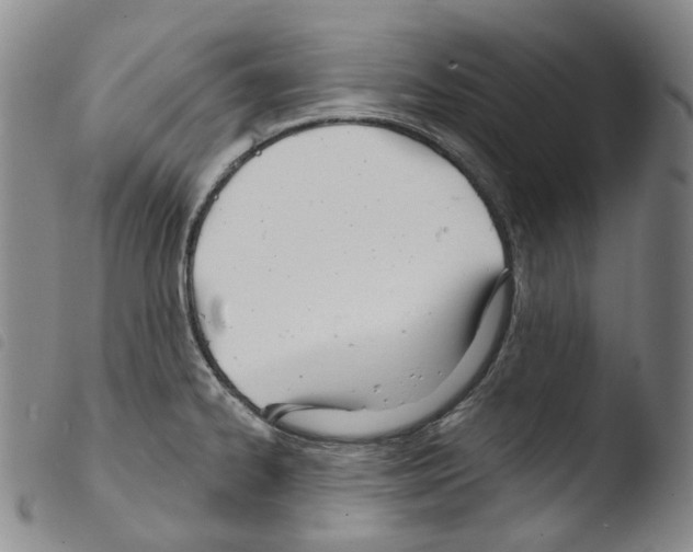 X0000103491334200810241052