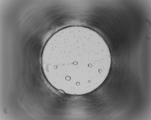 X0000103491335200810241052