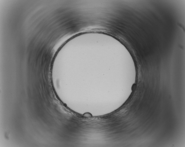 X0000103491336200810241052