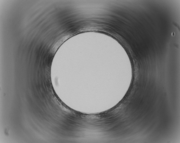 X0000103491337200810241052