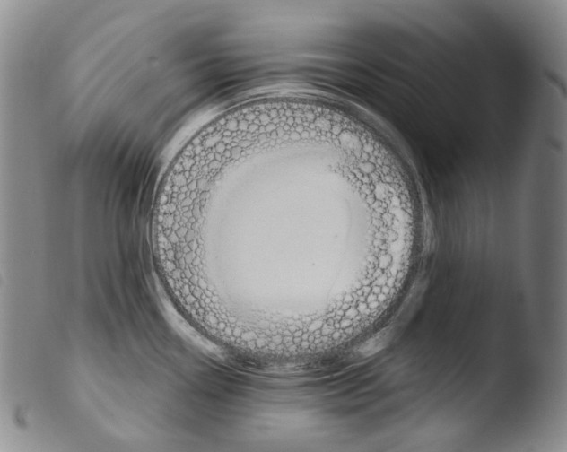 X0000103491338200810241052