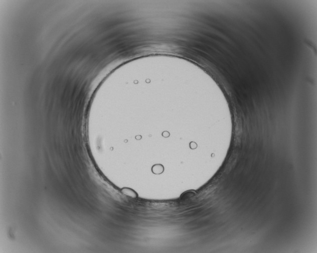 X0000103491339200810241052