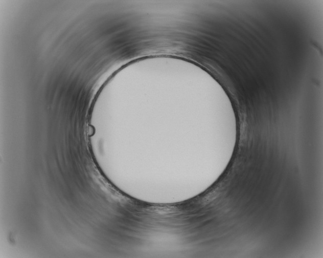 X0000103491340200810241052