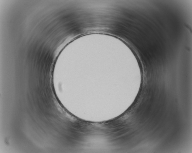 X0000103491341200810241052