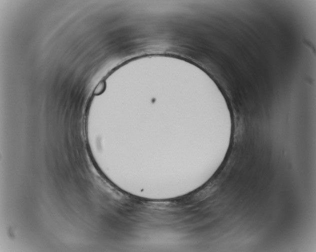 X0000103491342200810241052