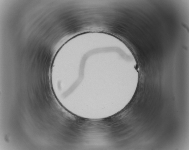 X0000103491343200810241052