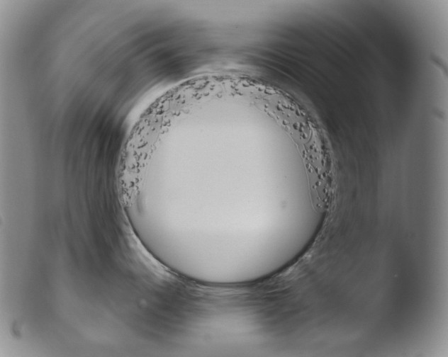 X0000103491344200810241052