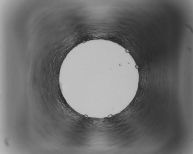 X0000103491345200810241052