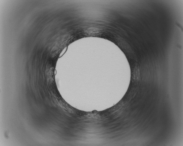 X0000103491346200810241052