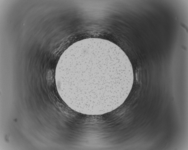 X0000103491347200810241052