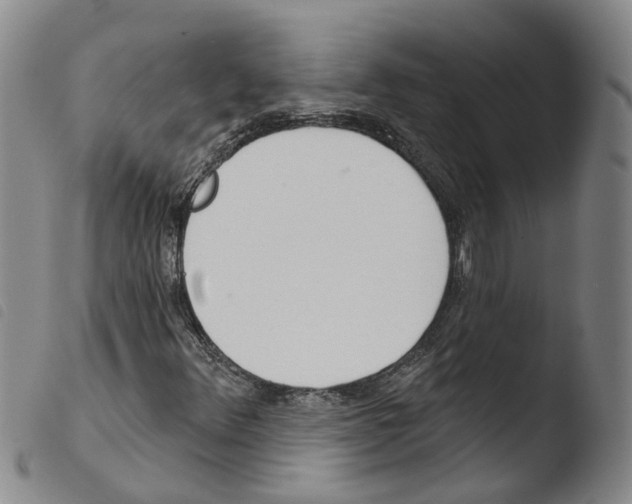 X0000103491348200810241052