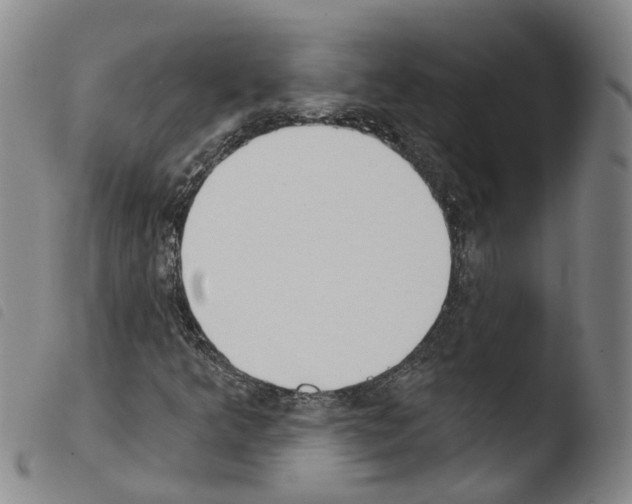 X0000103491349200810241052