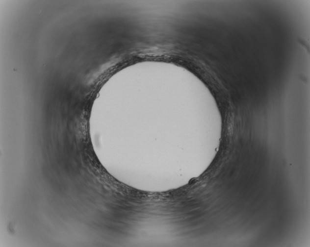 X0000103491350200810241052