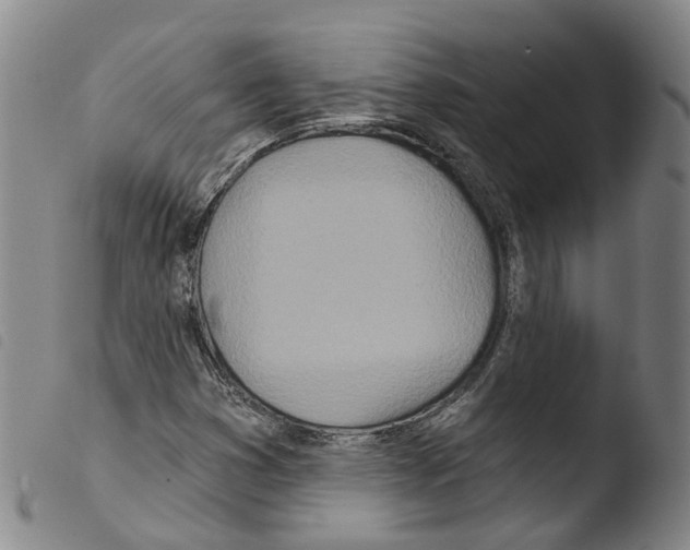 X0000103491353200810241052