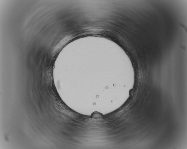 X0000103491354200810241052