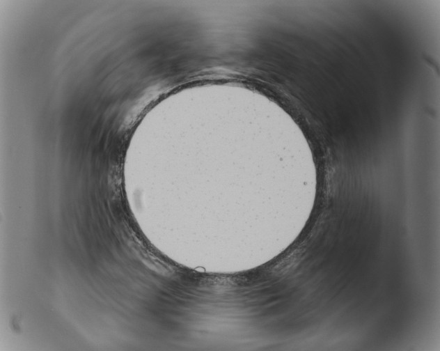 X0000103491355200810241052