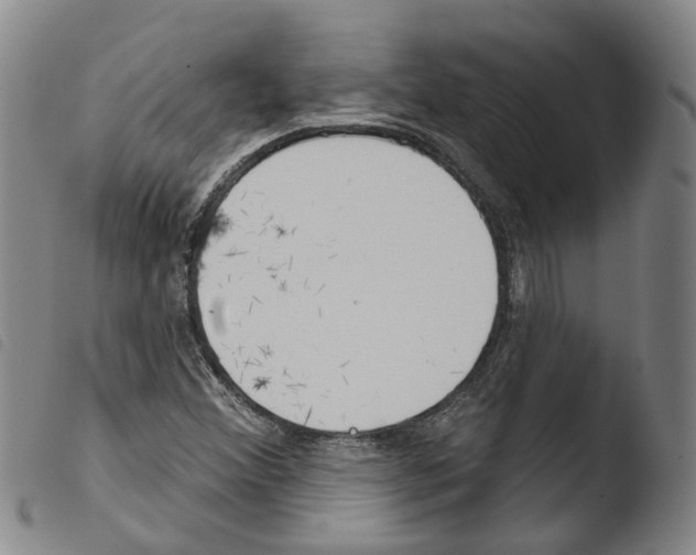X0000103491356200810241052
