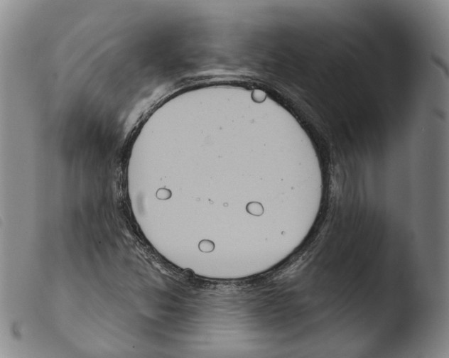 X0000103491357200810241051