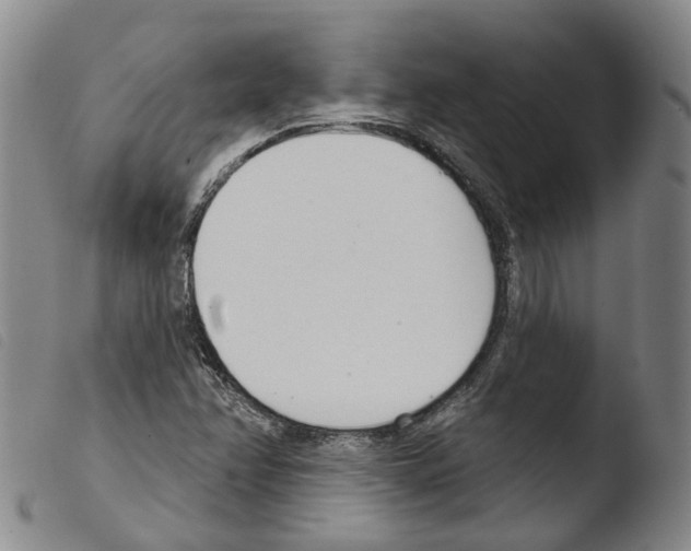 X0000103491358200810241051