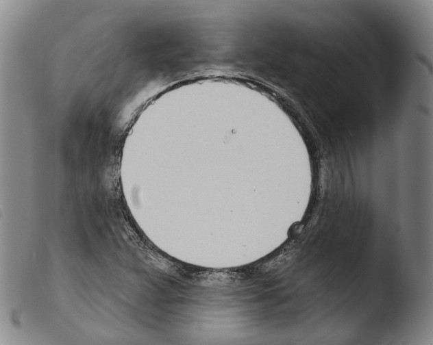 X0000103491359200810241051
