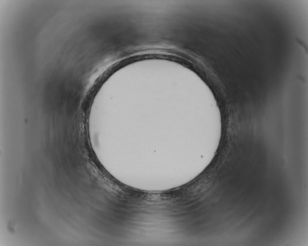 X0000103491360200810241051