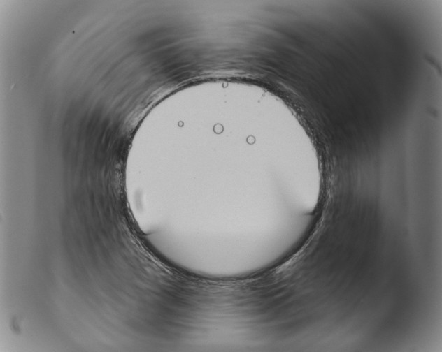X0000103491361200810241051