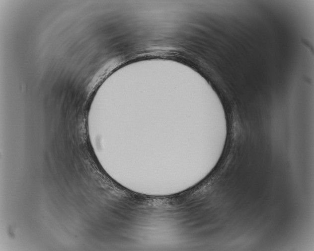 X0000103491362200810241051