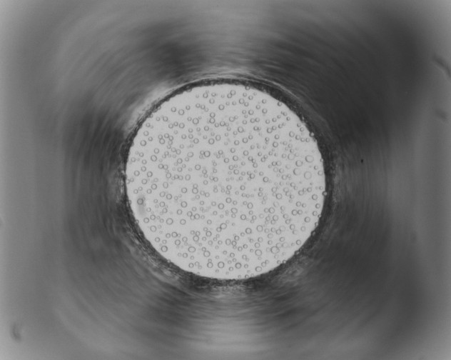 X0000103491363200810241051
