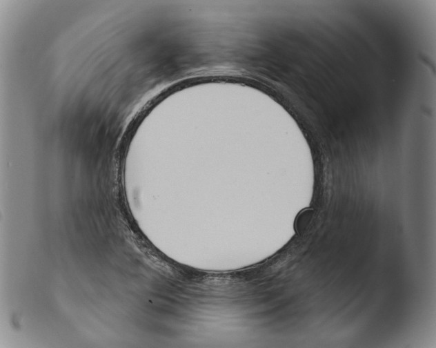 X0000103491364200810241051