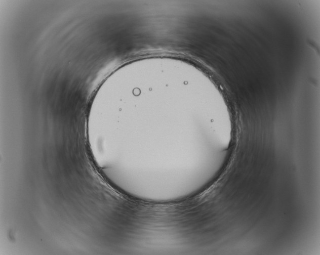 X0000103491365200810241051