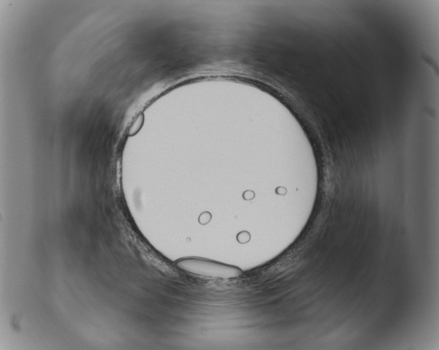 X0000103491366200810241051