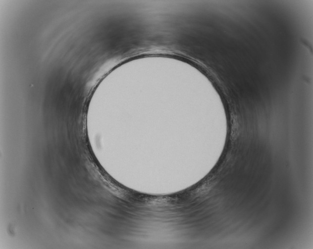 X0000103491367200810241051