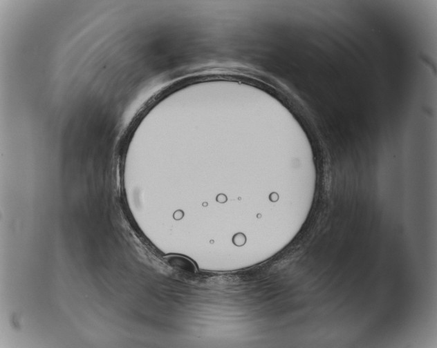 X0000103491368200810241051