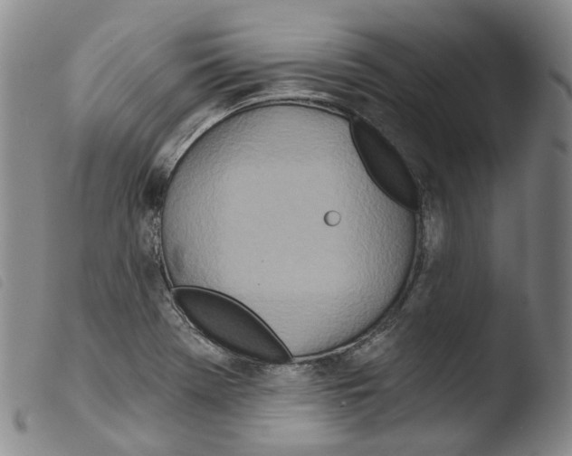 X0000103491369200810241051