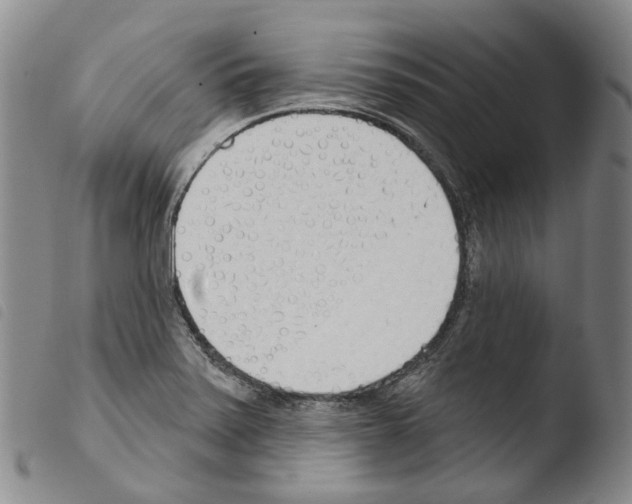 X0000103491371200810241051