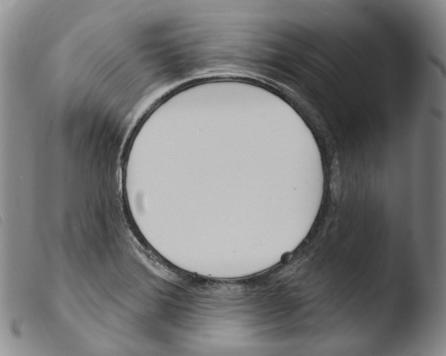 X0000103491372200810241051