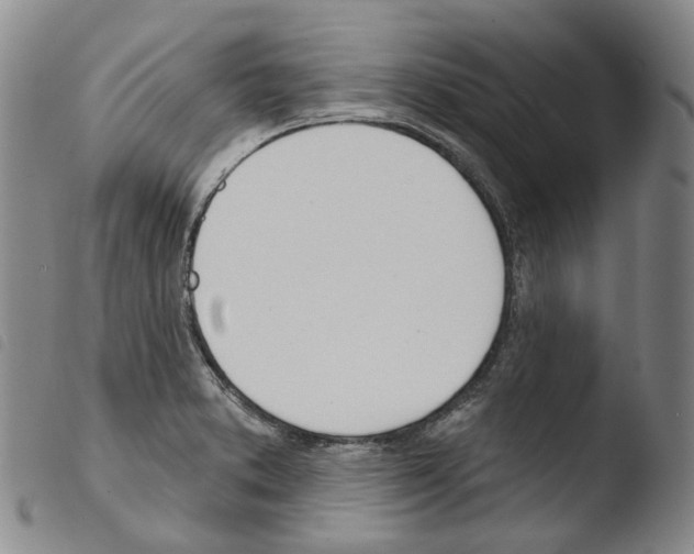 X0000103491373200810241051
