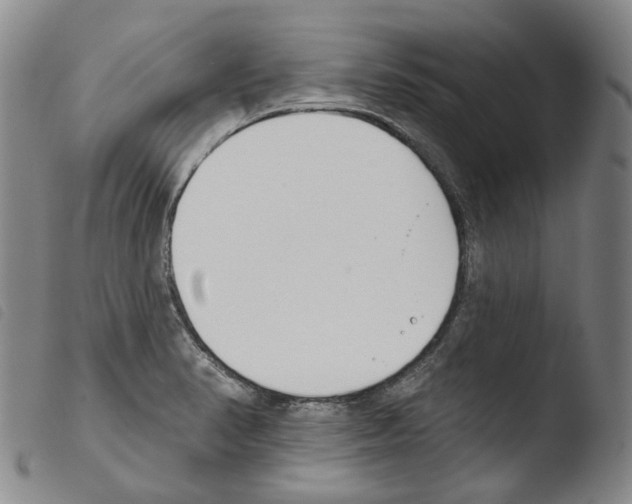 X0000103491374200810241051