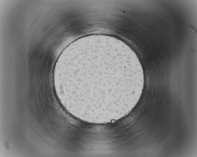 X0000103491375200810241051
