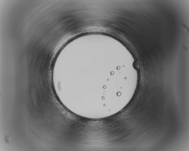 X0000103491376200810241051