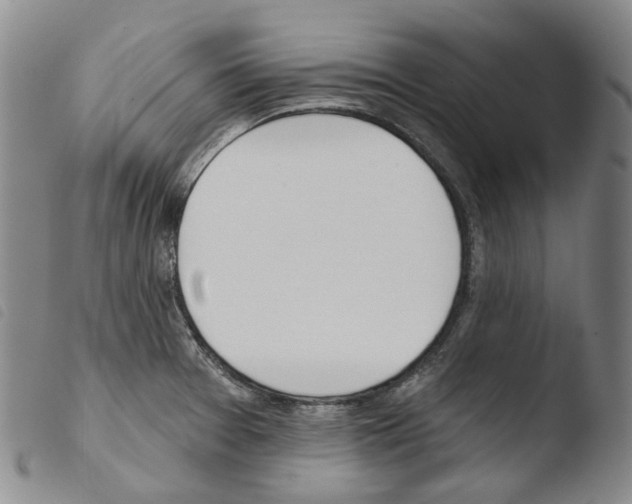 X0000103491377200810241051