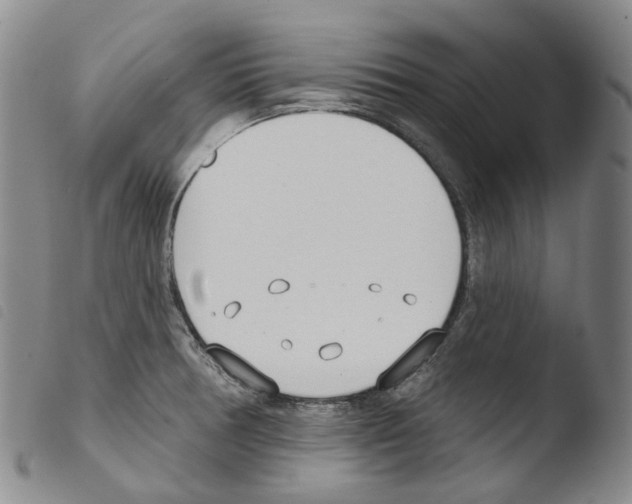 X0000103491378200810241051